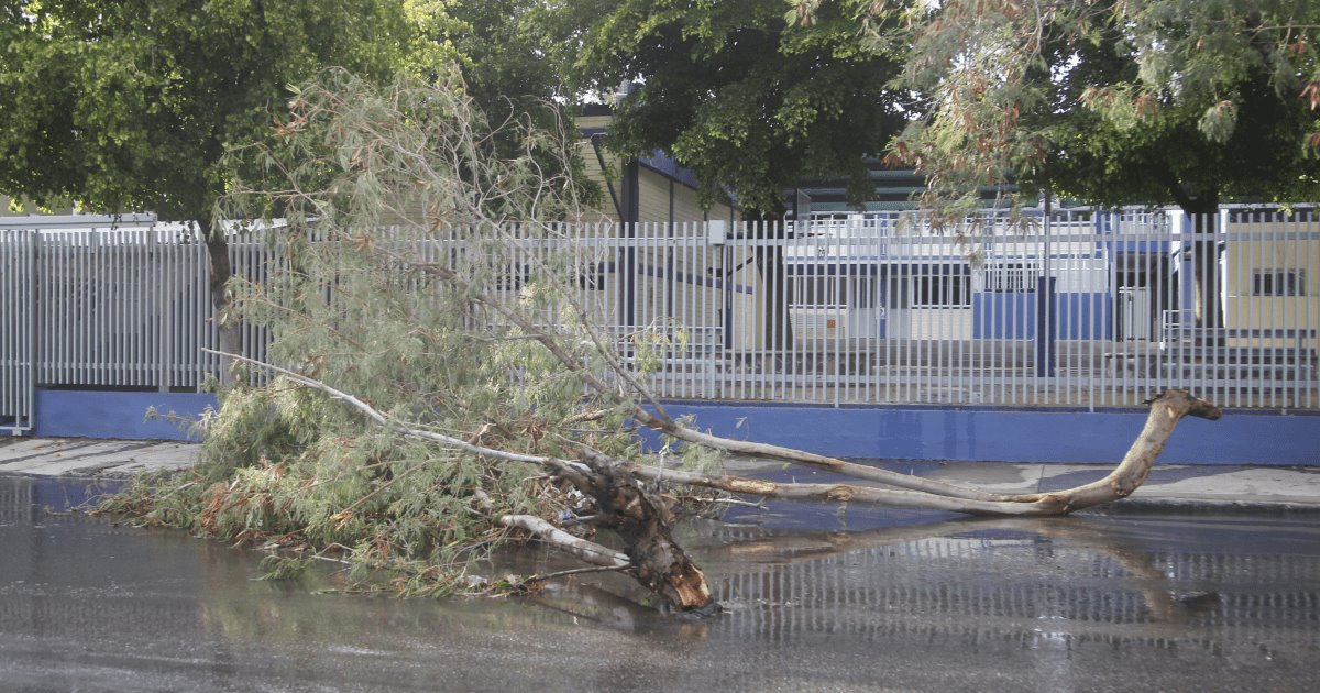 Lanzan alerta por rachas de viento en la entidad