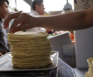 Tortillas de maíz en Hermosillo son las más caras de México: Profeco