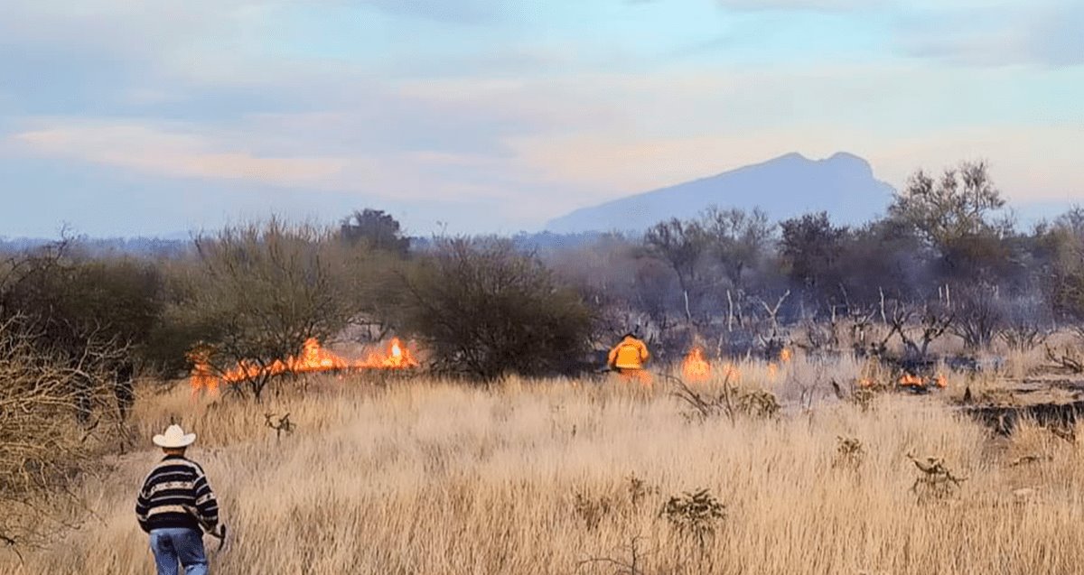 Asadores pueden causar incendios; señalan medidas de seguridad