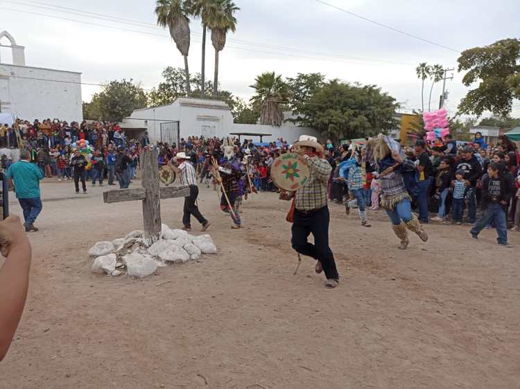 Yoremes de Pueblo Viejo realizan el primer Conti Mayo de Cuaresma