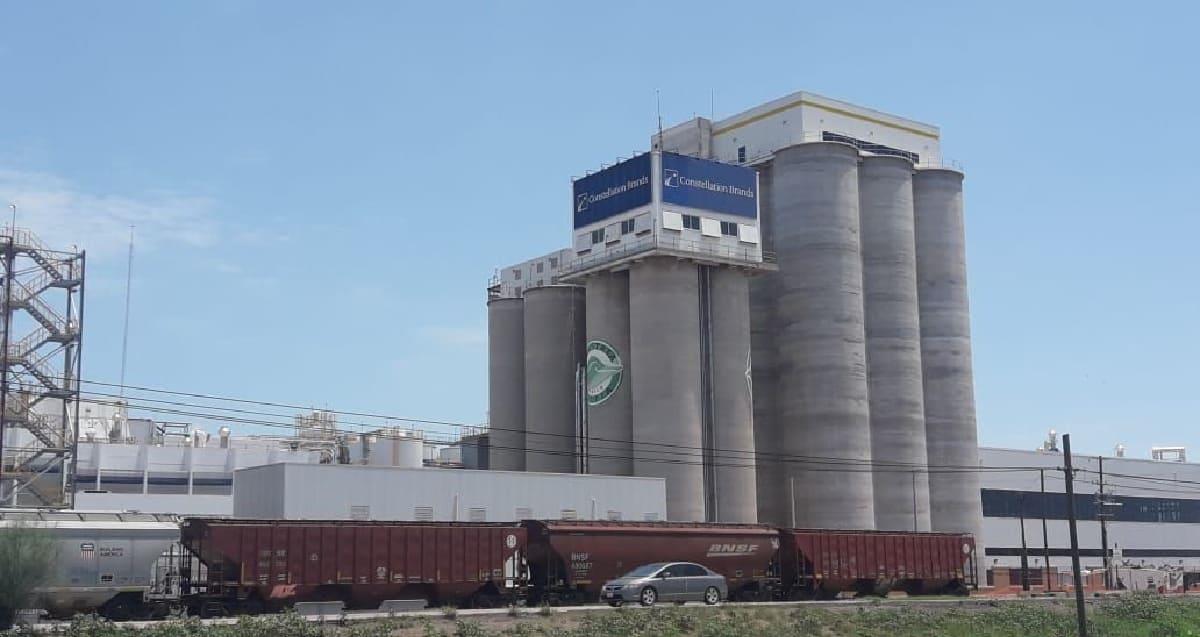 Empresa cervecera de Obregón donará bagazo de cebada a industria agrícola