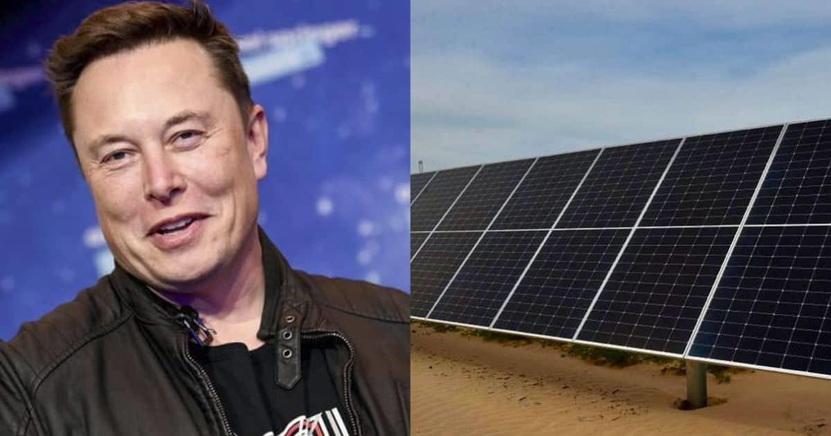 Elon Musk podría visitar Sonora; esto dijo AMLO