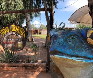 Obregón tendrá un santuario para flora nativa de Sonora
