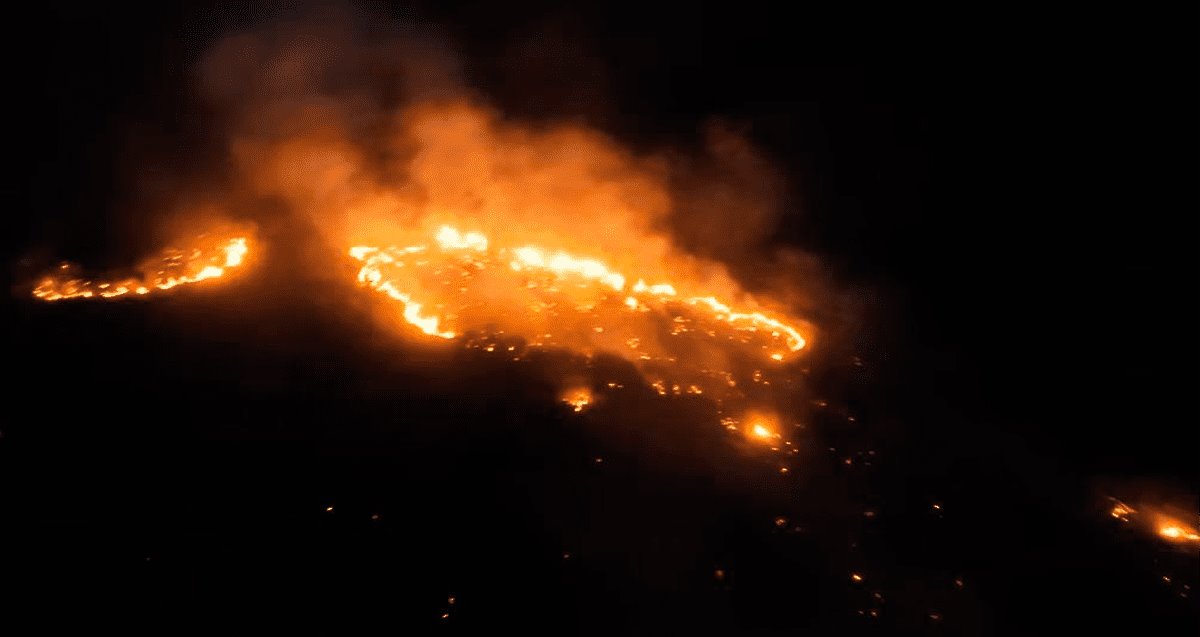 Esta es la causa del devastador incendio del Cerro del Bachoco