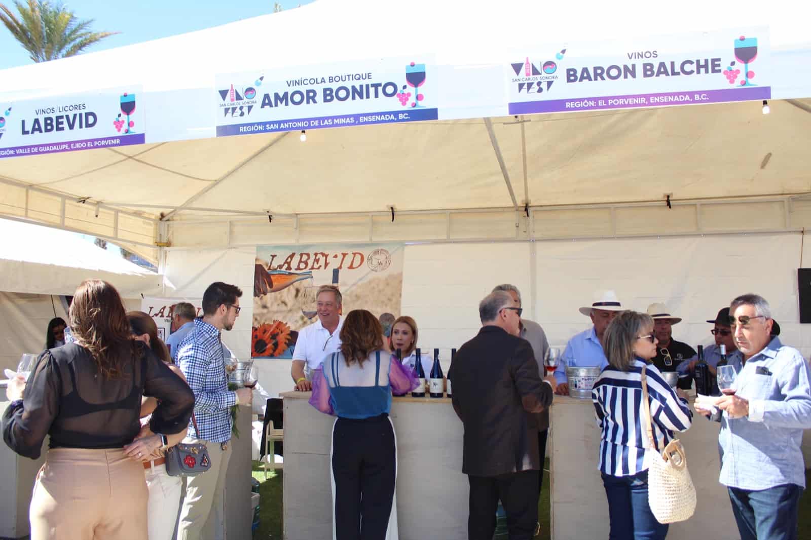 Amantes del vino se reúnen en el Vino Fest 2023