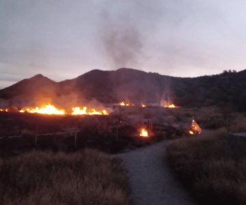 Rayo provocó incendio en predio con maleza seca en Cuarta Zona Militar