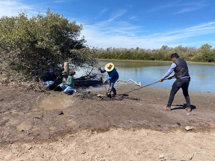 Denuncian huachicoleo de agua potable y tomas clandestinas