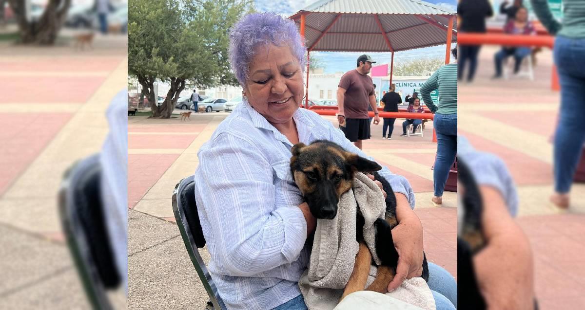 Realizarán Jornada de Esterilización en el Parque Las aves