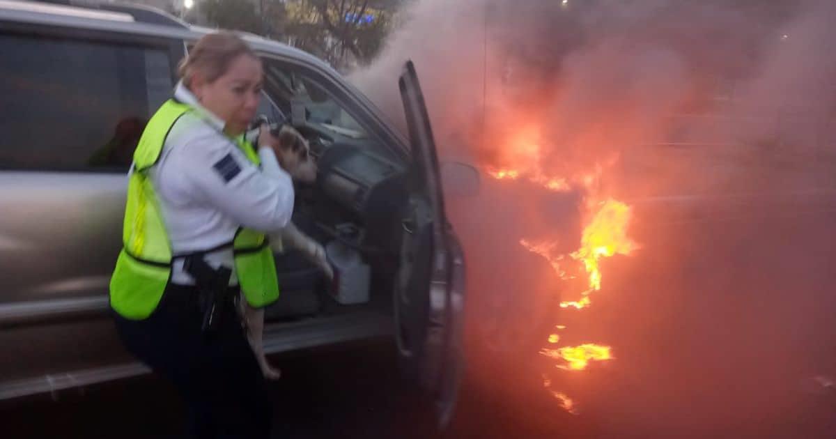 Rescatan a perro que estaba en un auto encendido en fuego