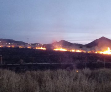Cunden incendios en zonas de Hermosillo