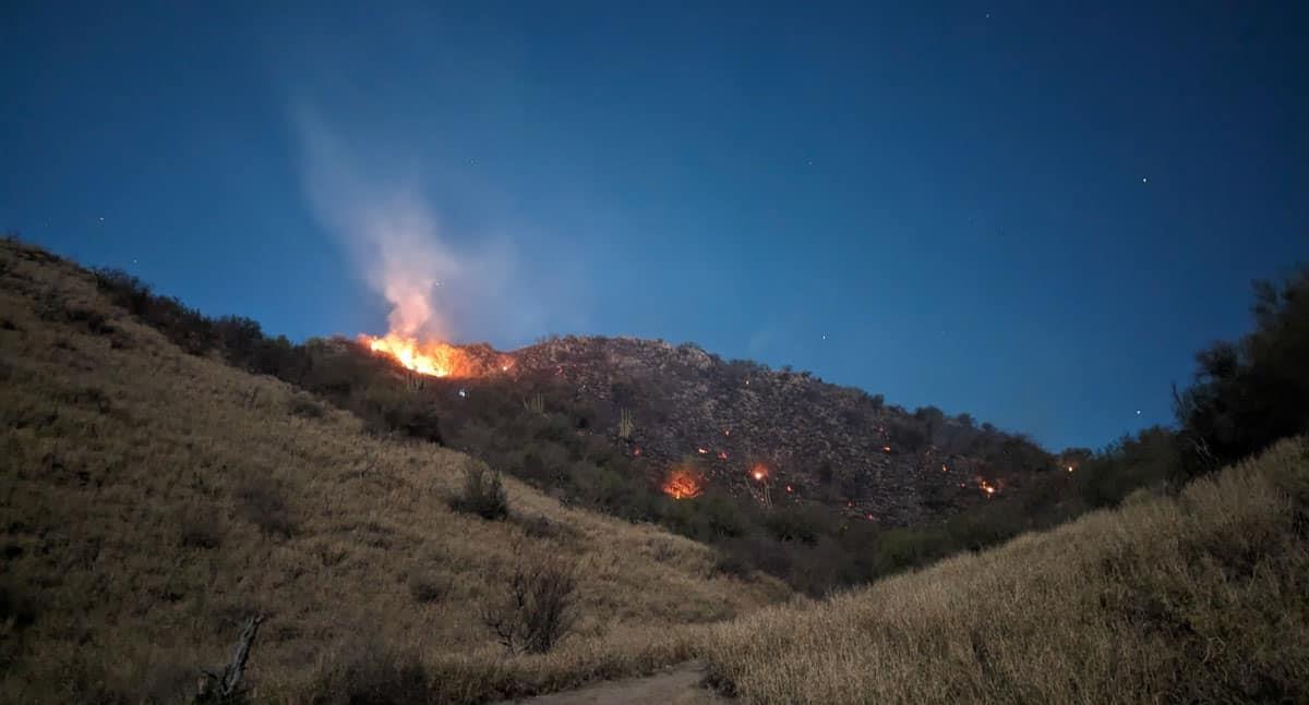 Piden mayor vigilancia ante incendios en el cerro Johnson