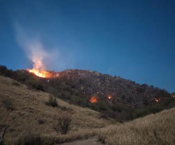 Piden mayor vigilancia ante incendios en el cerro Johnson