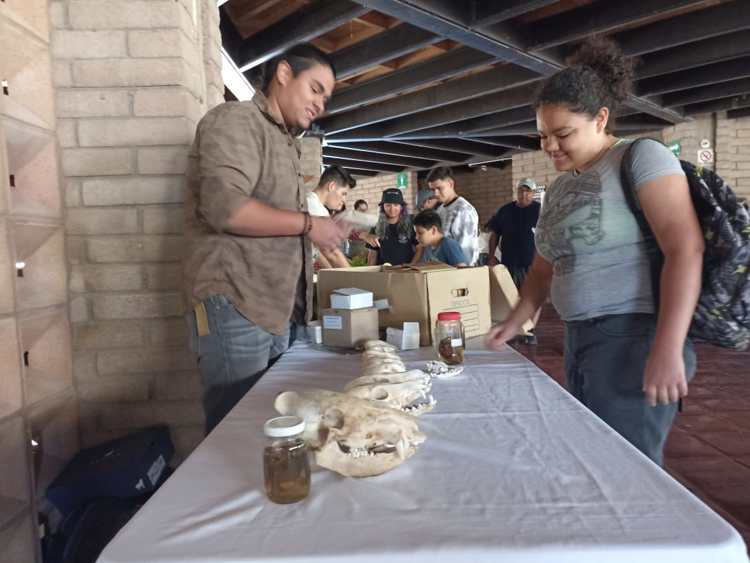 Se lleva a cabo el Primer Festival de Paleobiología en el Centro Ecológico