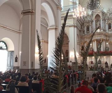 Hermosillenses acuden por su cruz de palma este Domingo de Ramos