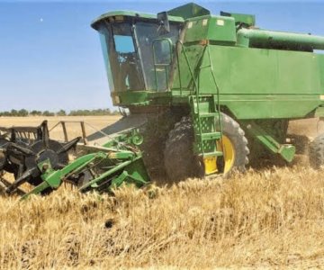 Buscan apoyo para productores de trigo y maíz ante baja cotización