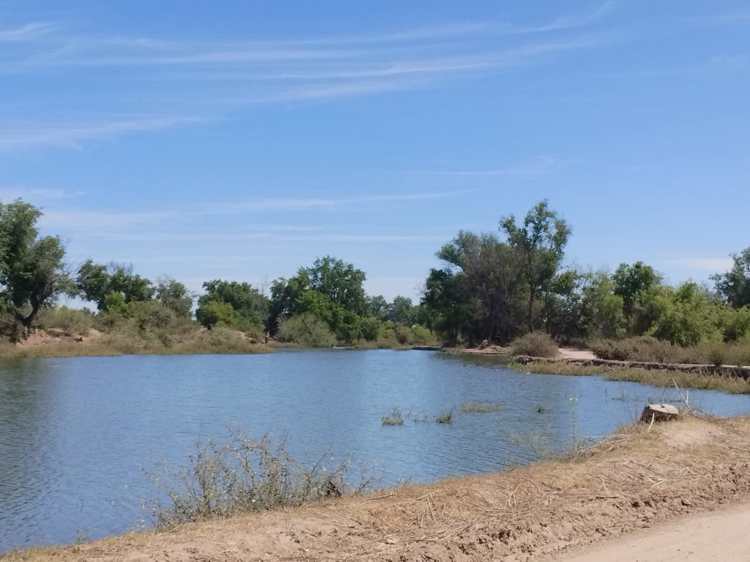 Limpian y dejan listo el Río Mayo para Semana Santa