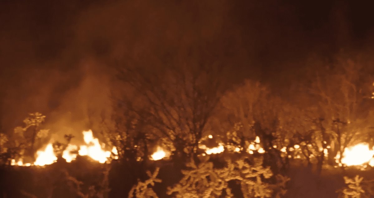 Arrasa fuego con 300 hectáreas de pastizales en Valle del Yaqui