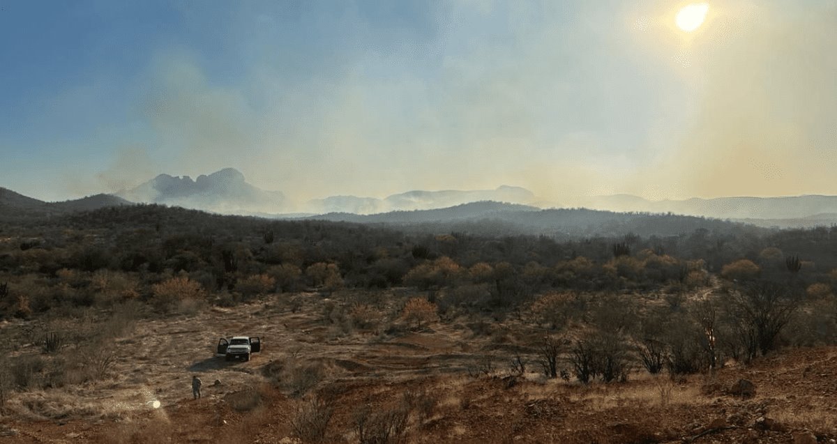 Lluvias en Sonora ayudan a disminuir incendios forestales