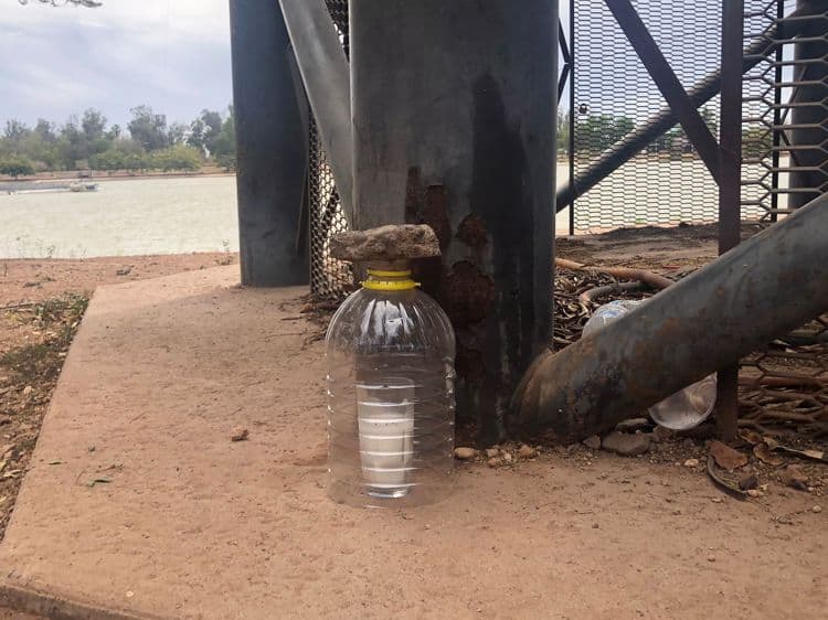 Retirarán torre de tirolesa de Laguna del Náinari tras 10 años en desuso