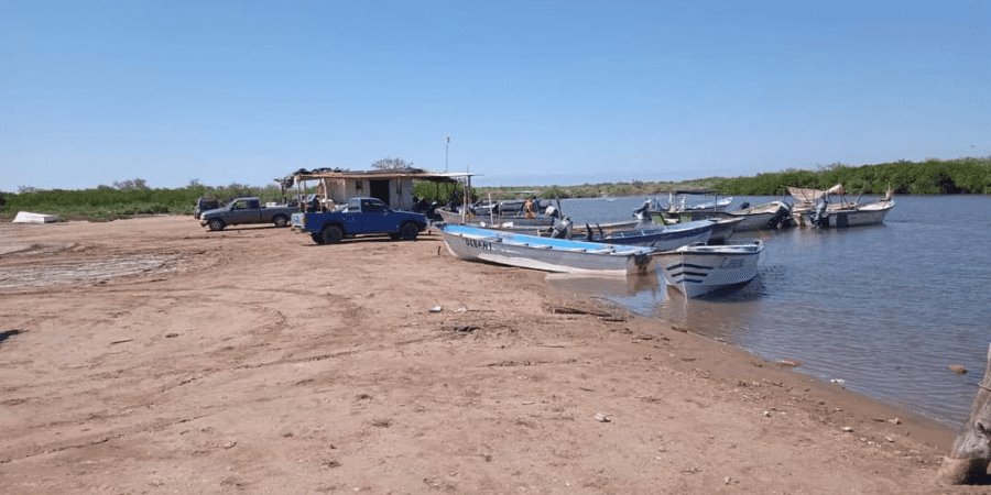 Reanudan la pesca del callo en Puerto de Yavaros