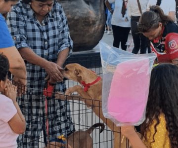 Realizan la Primera Feria de Mascotas 2023 en Navojoa