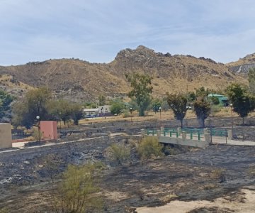 Registran segundo incendio en La Sauceda; creen que fue provocado