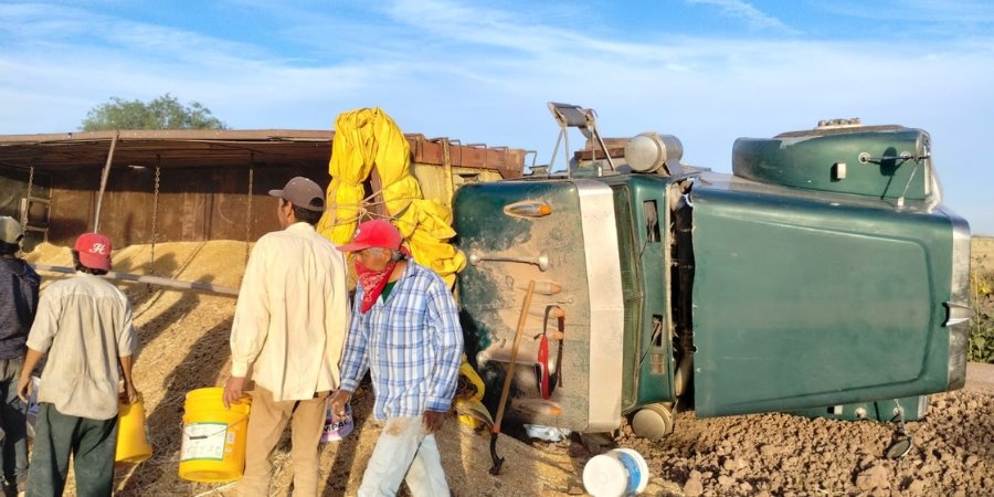 Vuelca camión con 20 toneladas de trigo: fue mala maniobra