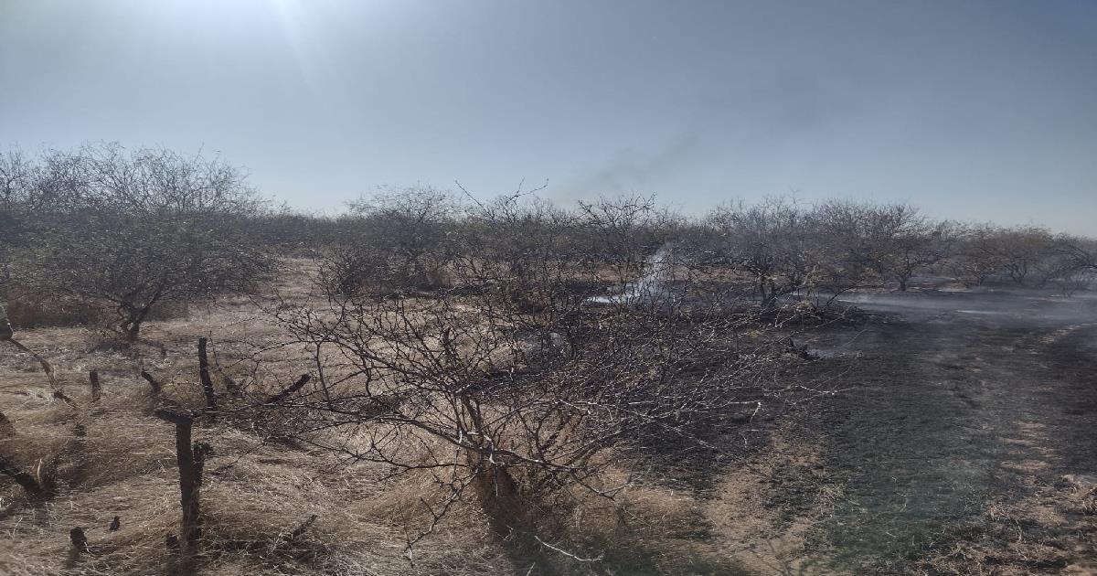 Bomberos sofocan cinco incendios forestales en 24 horas; hay otro activo