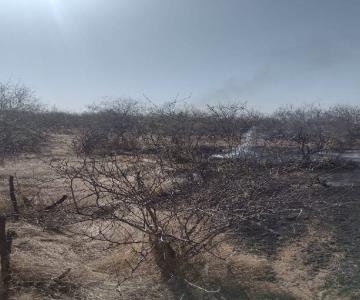 Bomberos sofocan cinco incendios forestales en 24 horas; hay otro activo