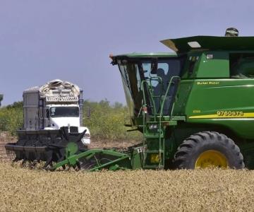 Productores de trigo acuerdan comprar tonelada de granos en 310 dólares
