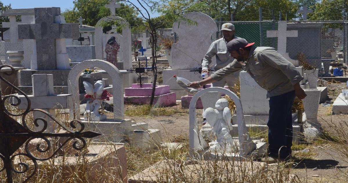 Vectores aplican larvicidas para moscos transmisores de dengue en Navojoa