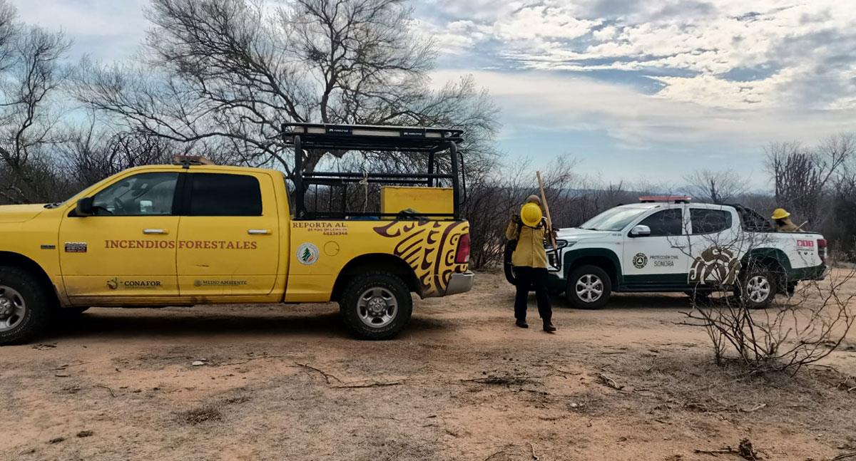 Van 400 hectáreas consumidas en incendio forestal de Camoa, Navojoa