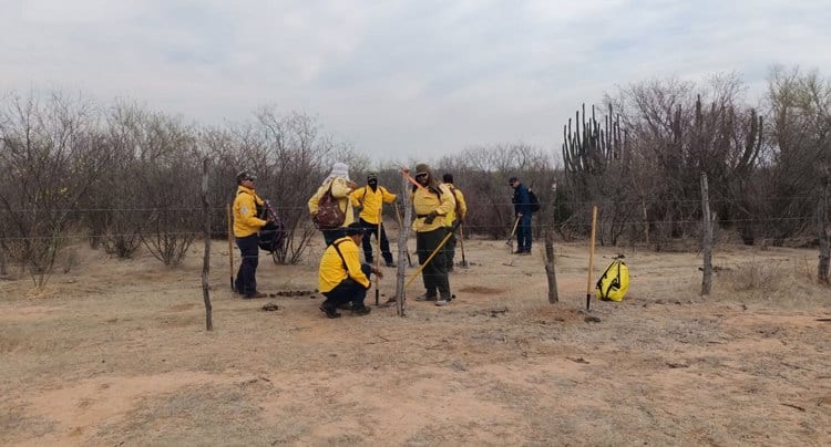 Van 400 hectáreas consumidas en incendio forestal de Camoa, Navojoa