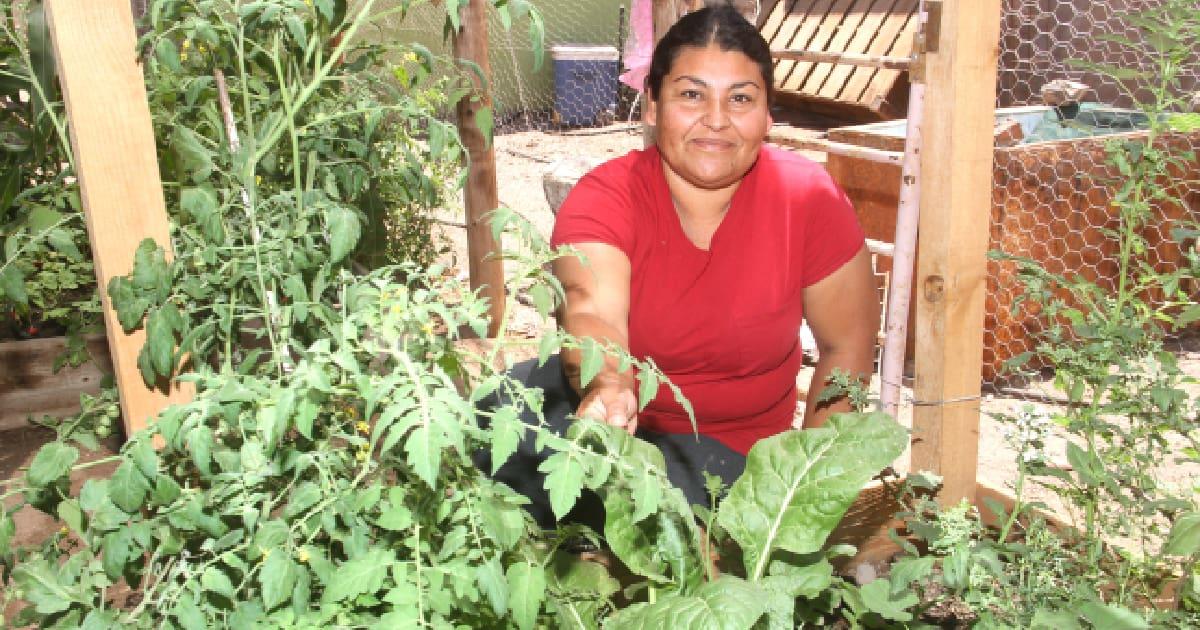 Imelda Cañez alimenta a su familia con su propio huerto en Punta Chueca