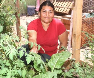 Imelda Cañez alimenta a su familia con su propio huerto en Punta Chueca