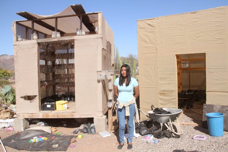 Erika coopera desde su trinchera a la conservación de manglares