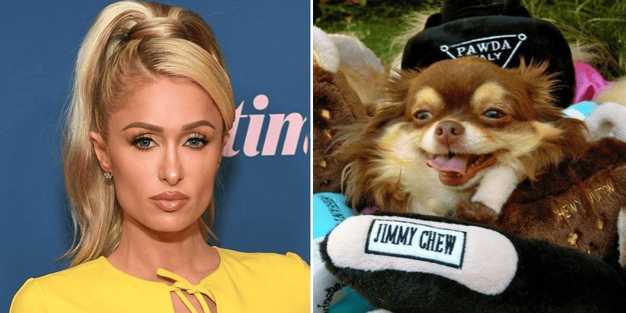 Paris Hilton se despide de su perrita chihuahua de 23 años