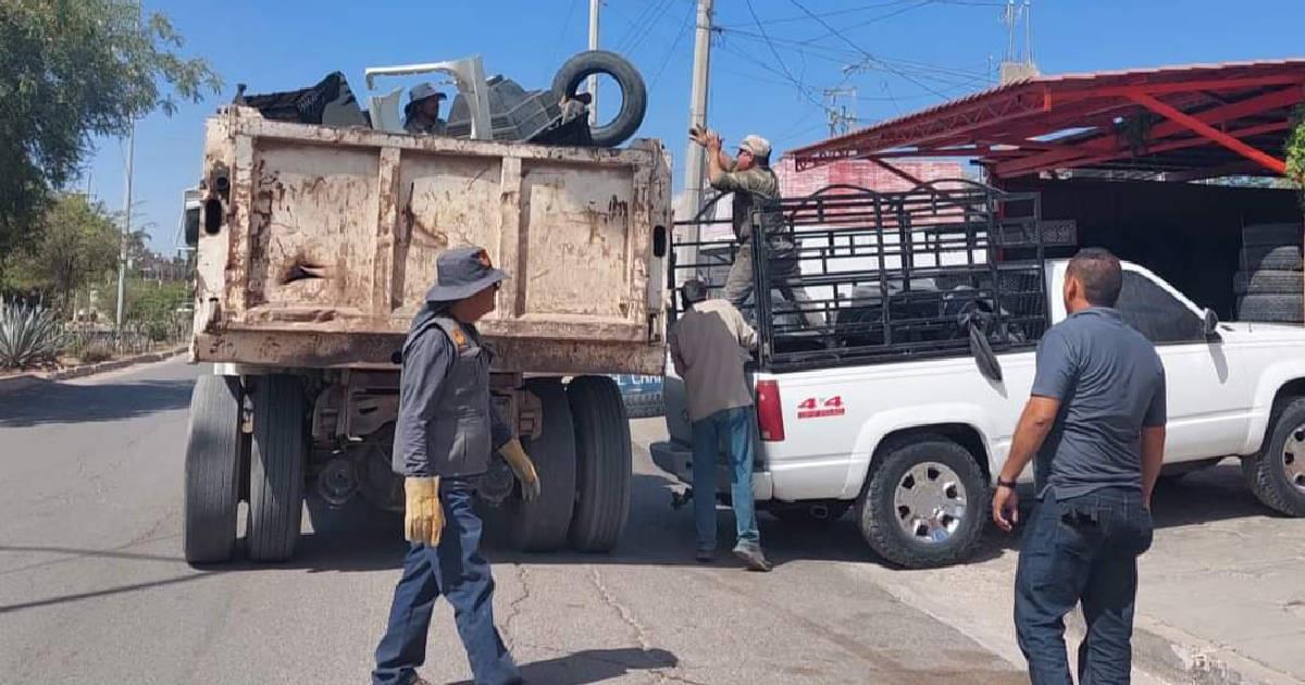 Intensificarán campaña contra el mosco transmisor del dengue en Navojoa