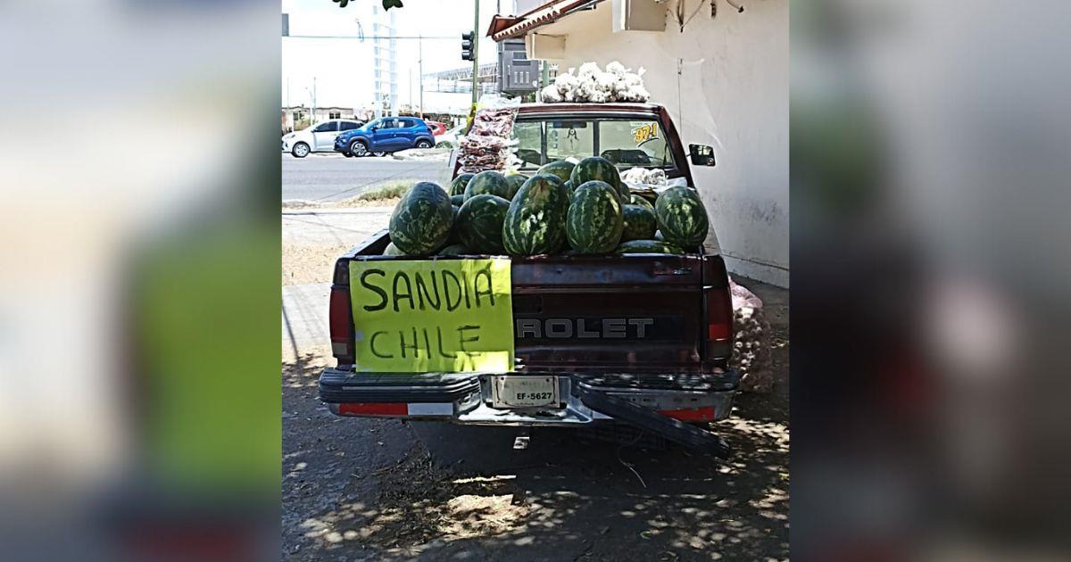 Temporada de sandía termina con saldo favorable en Hermosillo