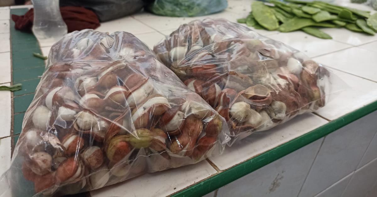 Llegaron los guamúchiles al mercado municipal de Navojoa