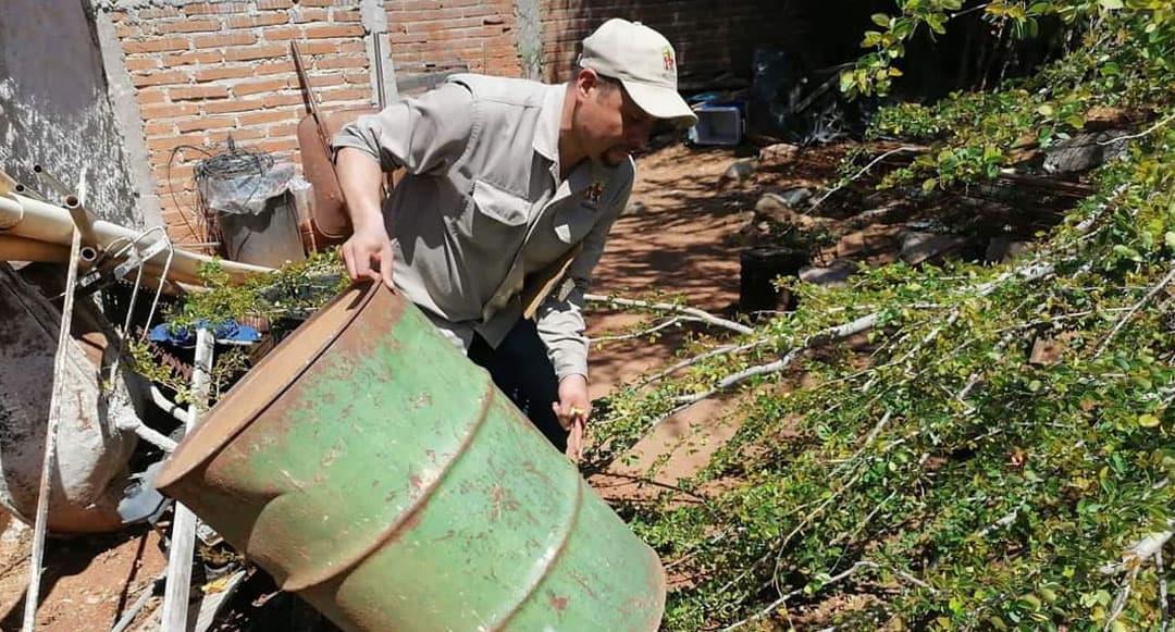 Alerta en Álamos por aumento de positividad de la larva del mosco