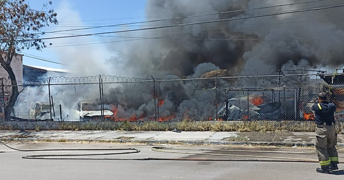 Incendio consume 8 vehículos en la colonia Olivares