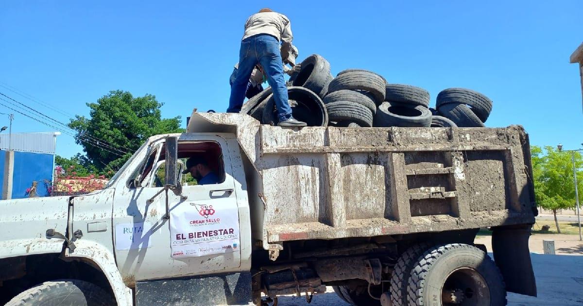 Vectores llevan 33.5 toneladas de cacharros retirados de hogares en Navojoa