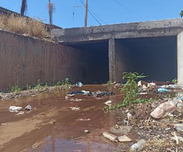 Siguen sin atender fuga de agua en colonia 5 de Mayo en Guaymas