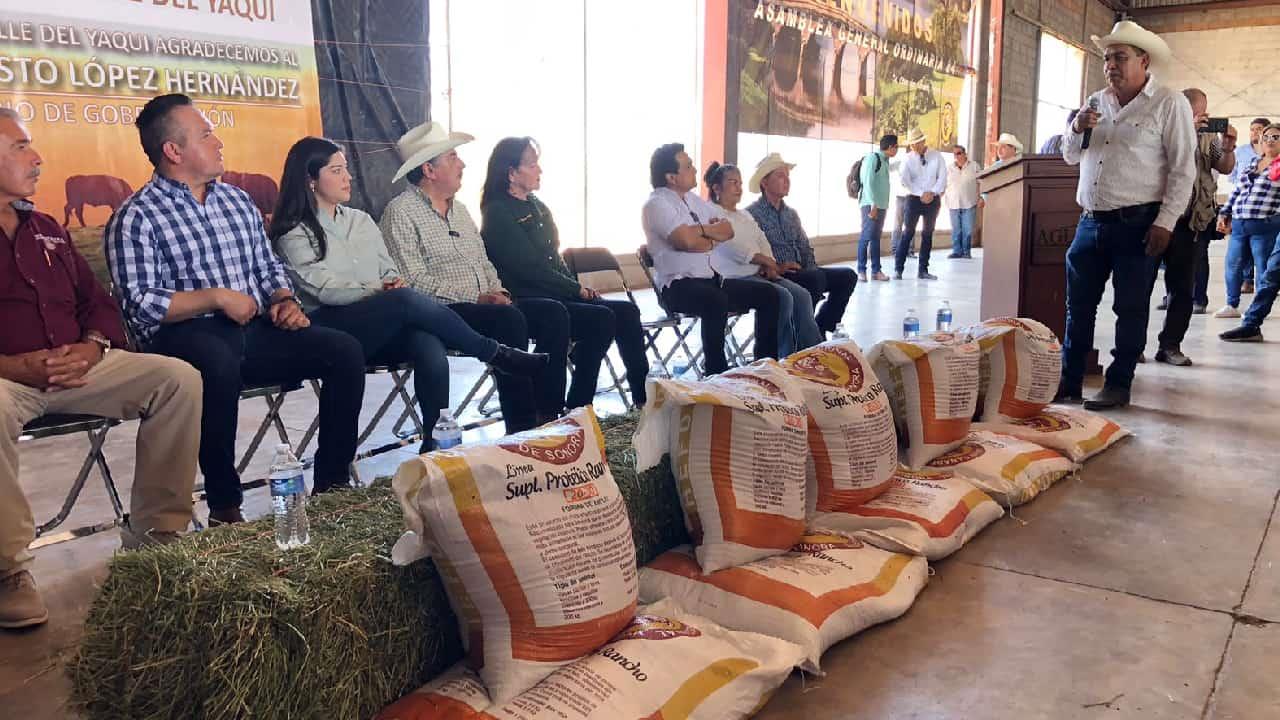 Entregan apoyos a ganaderos del Valle del Yaqui por sequía