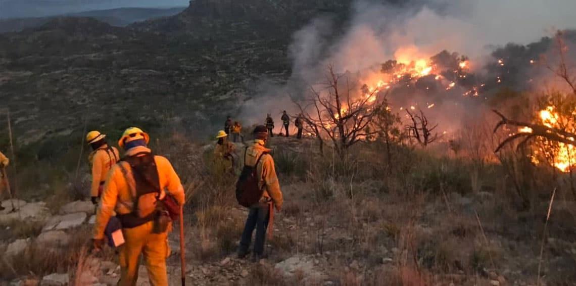Combaten 143 personas incendio forestal en Bacoachi