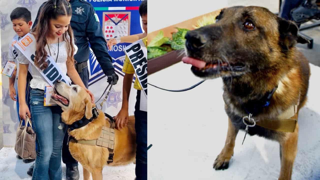 Jubilan a tres agentes caninos de la Policía Municipal