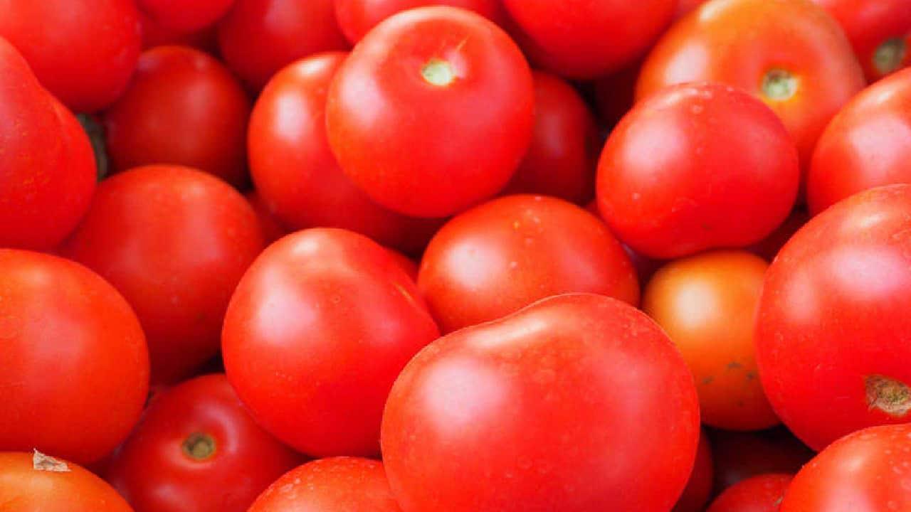 Productores de Florida piden arancel al tomate mexicano
