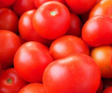Productores de Florida piden arancel al tomate mexicano
