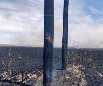 Suma Etchojoa más de 100 quemas de gavilla este año